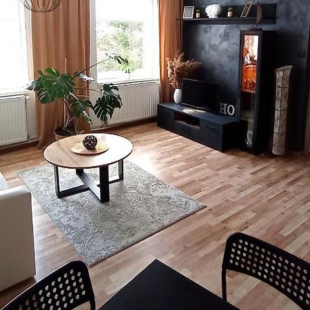 Apartament U Edka Przy Dolnej II Świeradów-Zdrój 外观 照片
