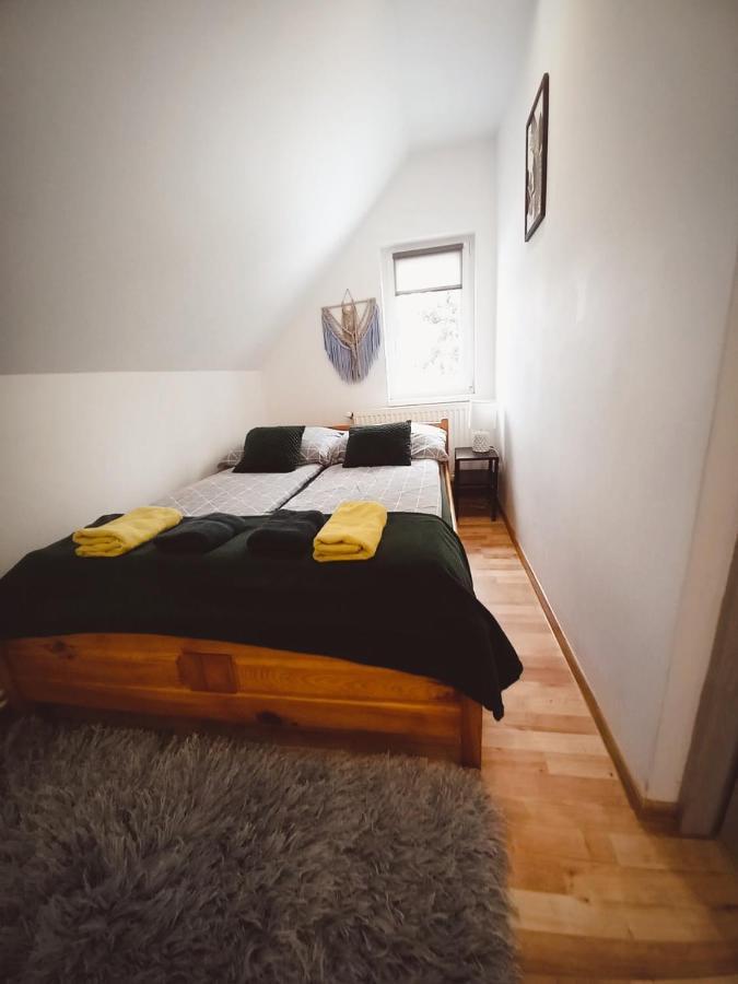 Apartament U Edka Przy Dolnej II Świeradów-Zdrój 外观 照片
