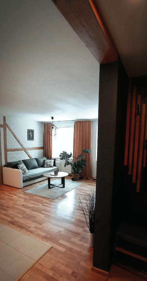 Apartament U Edka Przy Dolnej II Świeradów-Zdrój 外观 照片